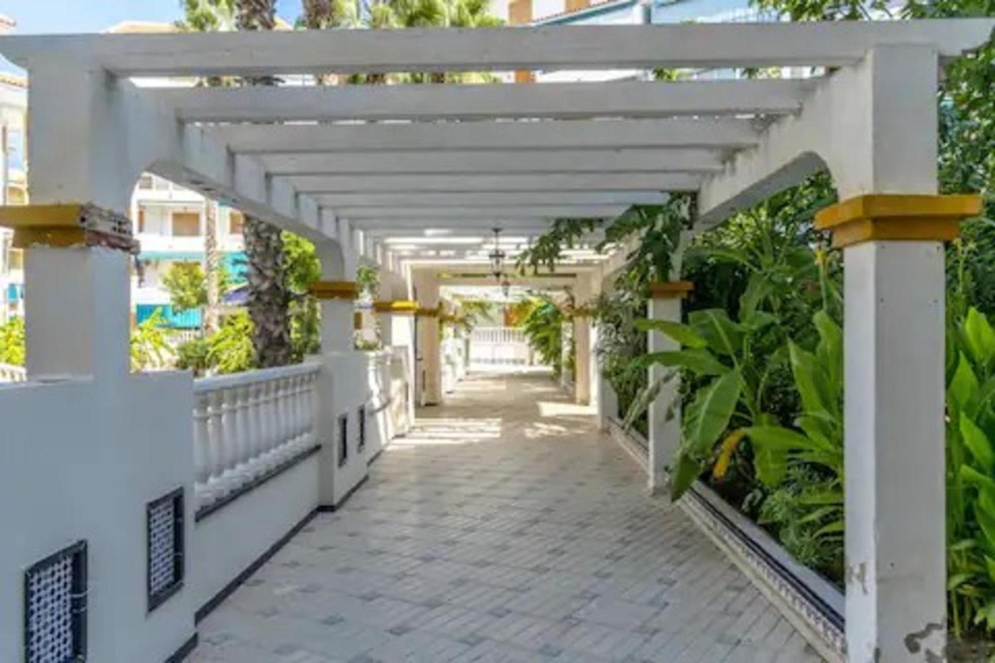 Pmt17 - Penthouse Apartment With Pool And Close To Beach La Mata  Exteriör bild